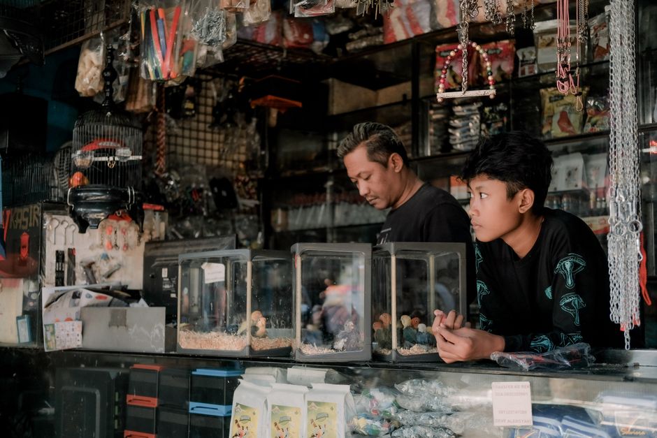 Shopkeeper and customer looking at small pets in a pet store