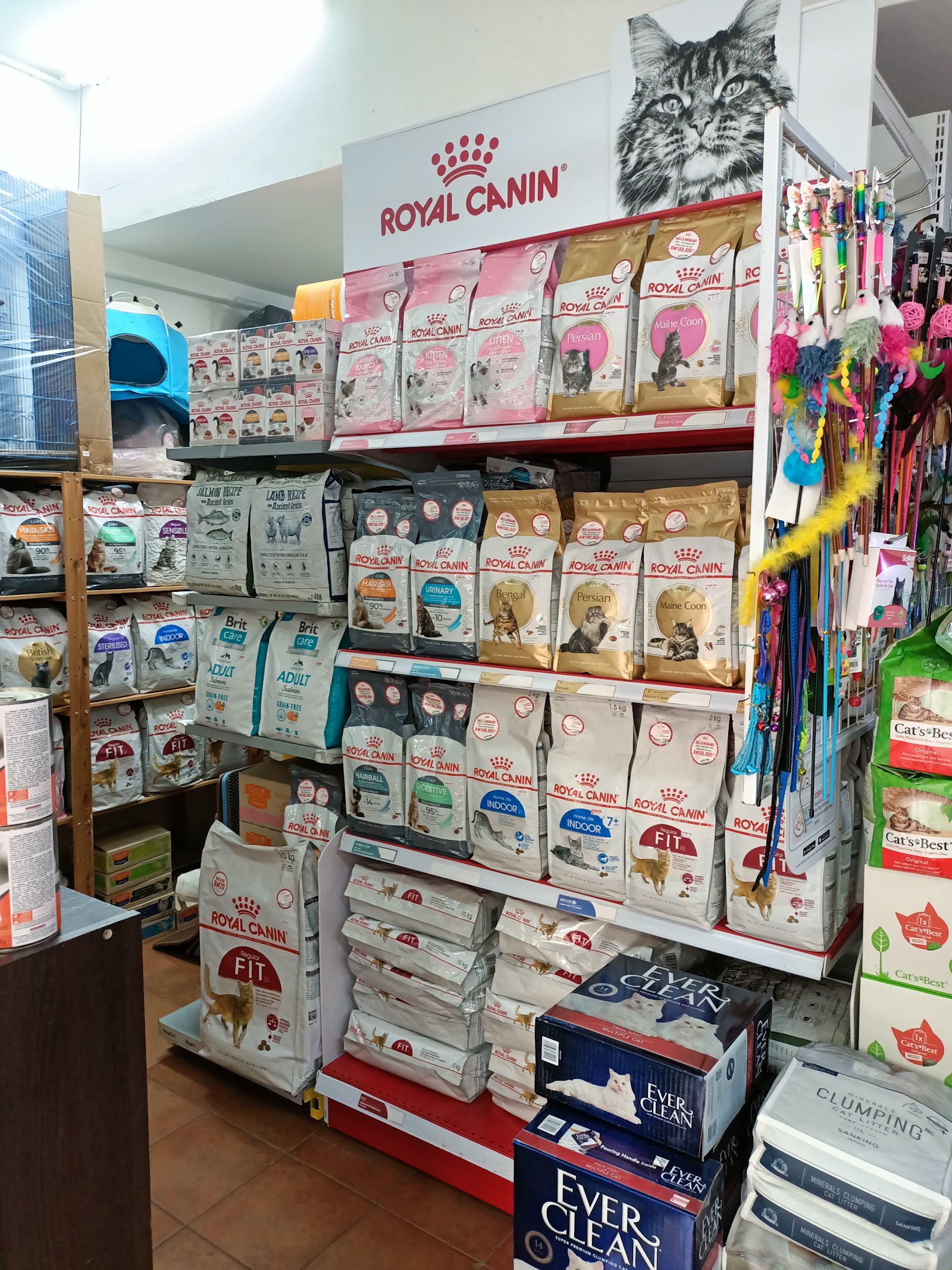 Shelves stocked with cat food, litter, and toys